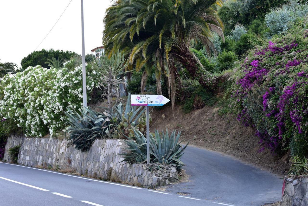 Agriturismo Un Mare Di Fiori Villa Ventimiglia Dış mekan fotoğraf